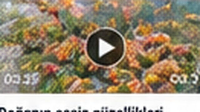 Doğanın eşsiz güzellikleri fotoğraflandı